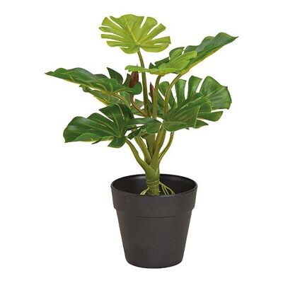 Kunstpflanze Splitphilopflanz Monstera Grün (H) 30cm