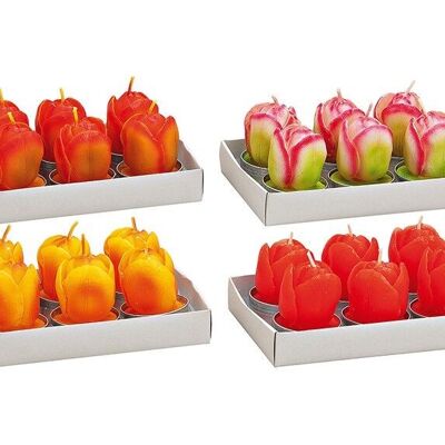 Tealight set 6 pezzi, tulipano, 4 assortiti, L4 x P6cm