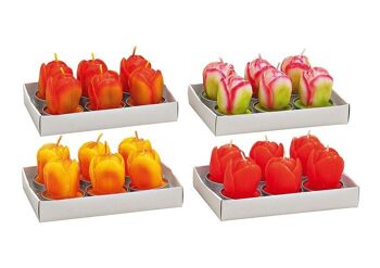 Bougie chauffe-plat 6 pièces, tulipe, 4 assorties, L4 x P6cm