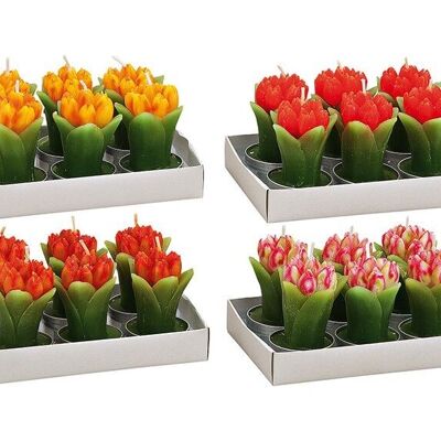 Tealight set 6 pezzi, tulipano, 4 assortiti, L4 x P7 cm