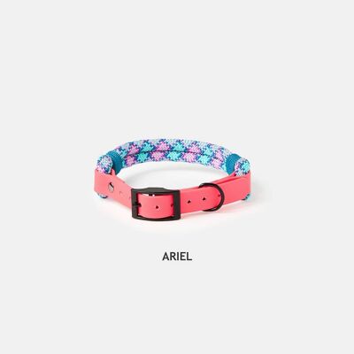 Smile - collar personalizado para perros - Vajolet