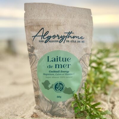 Sea Lettuce 30g - Dehydrated exceptional organic seaweed
