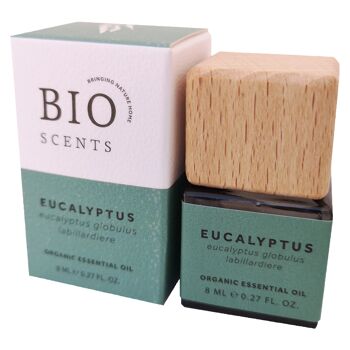 Huile Essentielle d'Eucalyptus - Bio 2