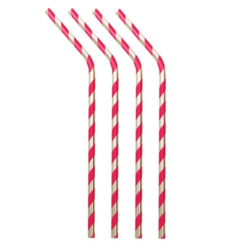 Metal Straws Stripe (Set of 4)