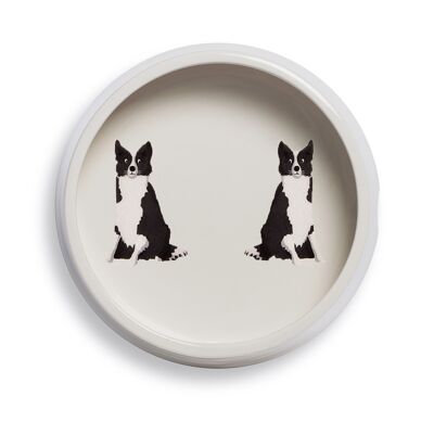 Dog bowl collie