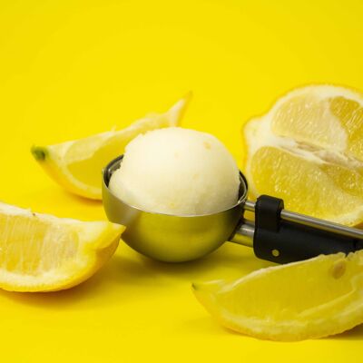 Sorbete de limón - 2,5L