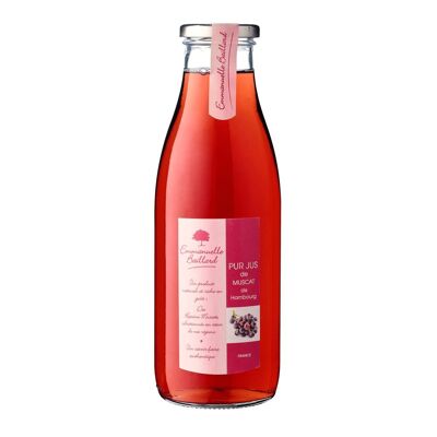 Pur jus de Raisin Muscat du Luberon 75cl