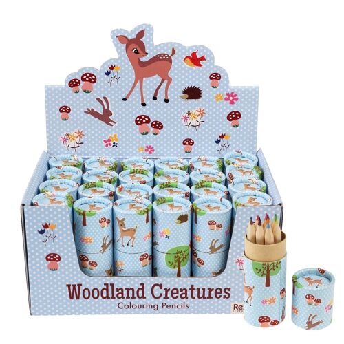 Tube of colouring pencils - Woodland Creatures