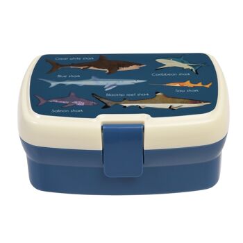 Lunch box avec plateau - Requins 1