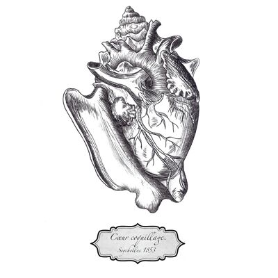 Seashell Double Heart Card