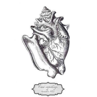 Seashell Double Heart Card