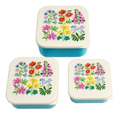 Boîtes à goûter (lot de 3) - Fleurs Sauvages