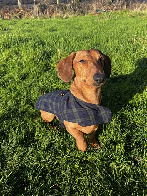 Lee Valley Flannel Dog Coat