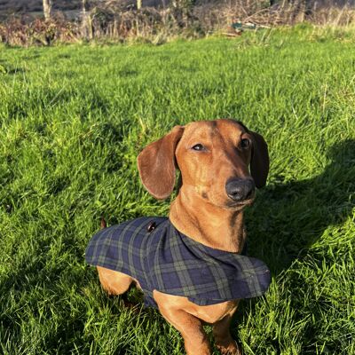 Lee Valley Flannel Dog Coat