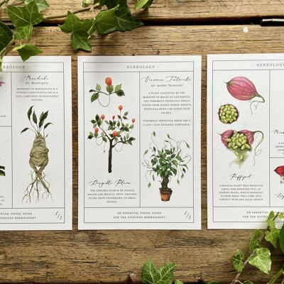 Tableau d'herboristerie Ensemble d'impressions d'art botaniques magiques
