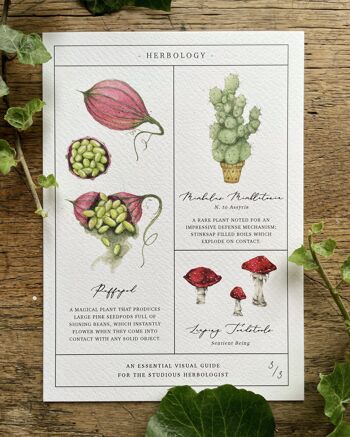 Tableau d'herboristerie Ensemble d'impressions d'art botaniques magiques 5