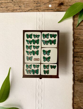 Papillon Plateau Cabinet de Curiosités Entomologie Émail Pin Badge 4
