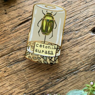 Escarabajo espécimen tarro entomología esmalte pin insignia