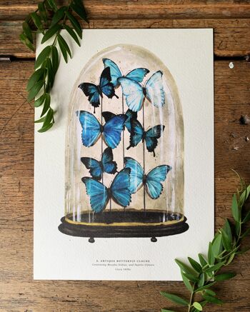 Dôme papillon antique bleu Impression artistique 1