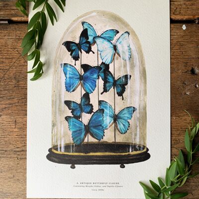 Blue Antique Butterfly Dome Art Print