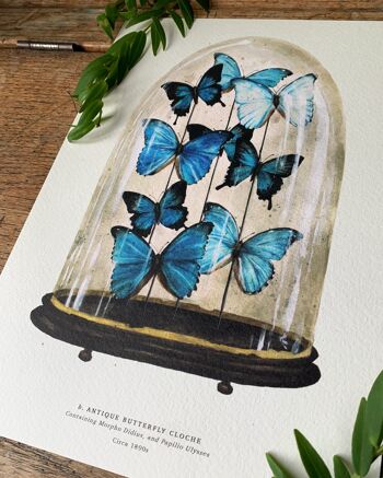 Dôme papillon antique bleu Impression artistique 2