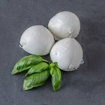 BOCCONCINI DI BUFALA CAMPANA D.O.P. 1