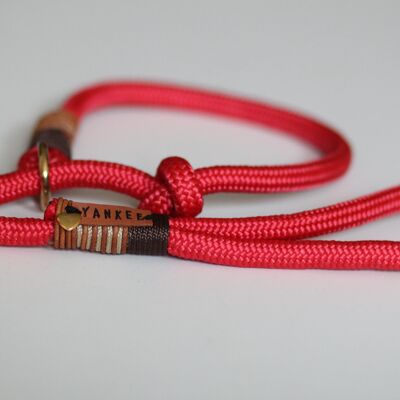 Retriever leash "red-brown" - 3-way adjustable retriever leash 2.5m long - with name tag