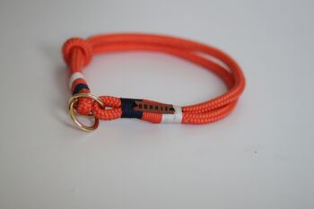 Ensemble "orange-maritime" avec laisse et collier - laisse simple avec dragonne 1,5m - avec porte-nom 2