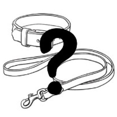 Set configurabile individualmente con guinzaglio e collare - Guinzaglio semplice con cinturino lungo 1,5 m - Senza targhetta