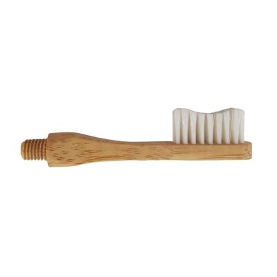 Head for toothbrush with interchangeable head