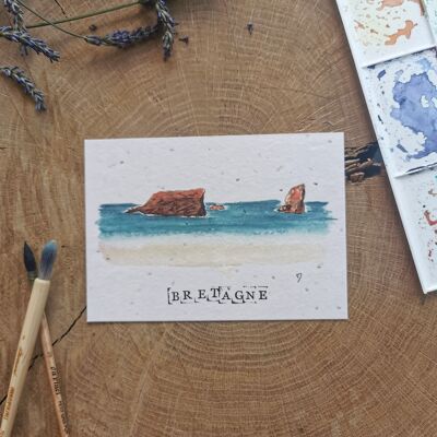 Zero-Waste-Illustration mit GPS-Koordinaten – Quiberon – Morbihan