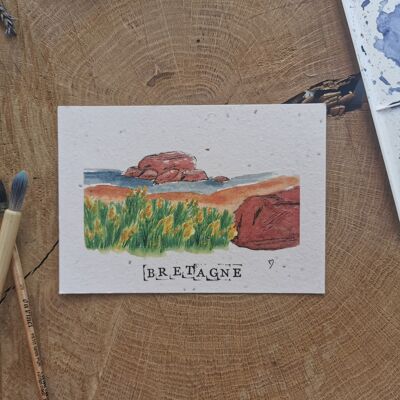 Zero-Waste-Illustration mit GPS-Koordinaten – Insel Renote – Côtes-d'Armor