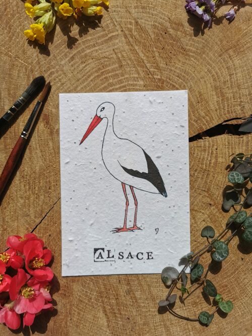 Illustration Zéro-déchet avec coordonnées GPS - Cigogne - Alsace