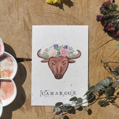 Ilustración zero-waste con coordenadas GPS - Bull - Camargue