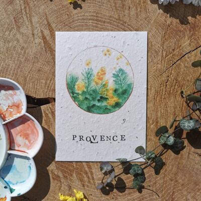 Zero-Waste-Illustration mit GPS-Koordinaten – Mimosa – Provence