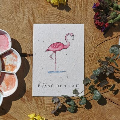 Zero-Waste-Illustration mit GPS-Koordinaten – Flamant Rose – Hérault