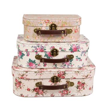 Valises Vintage Rose - Lot de 3 2