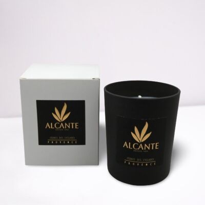 Atmosphere scented candle 180g Alcante, Cedars of the Cyclades