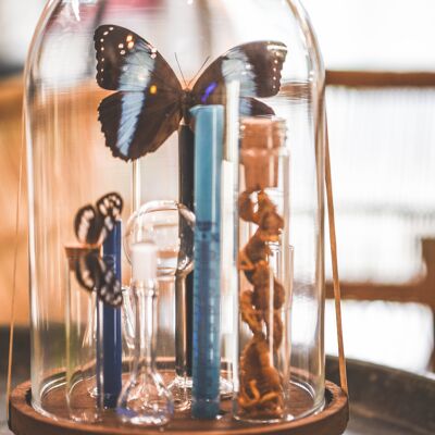 Série le labo [chimie] - papillons et verrerie