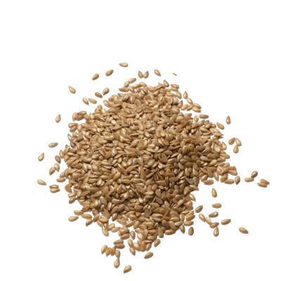 Organic blond flax - 3kg