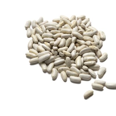 French organic white ingot bean – 5kg