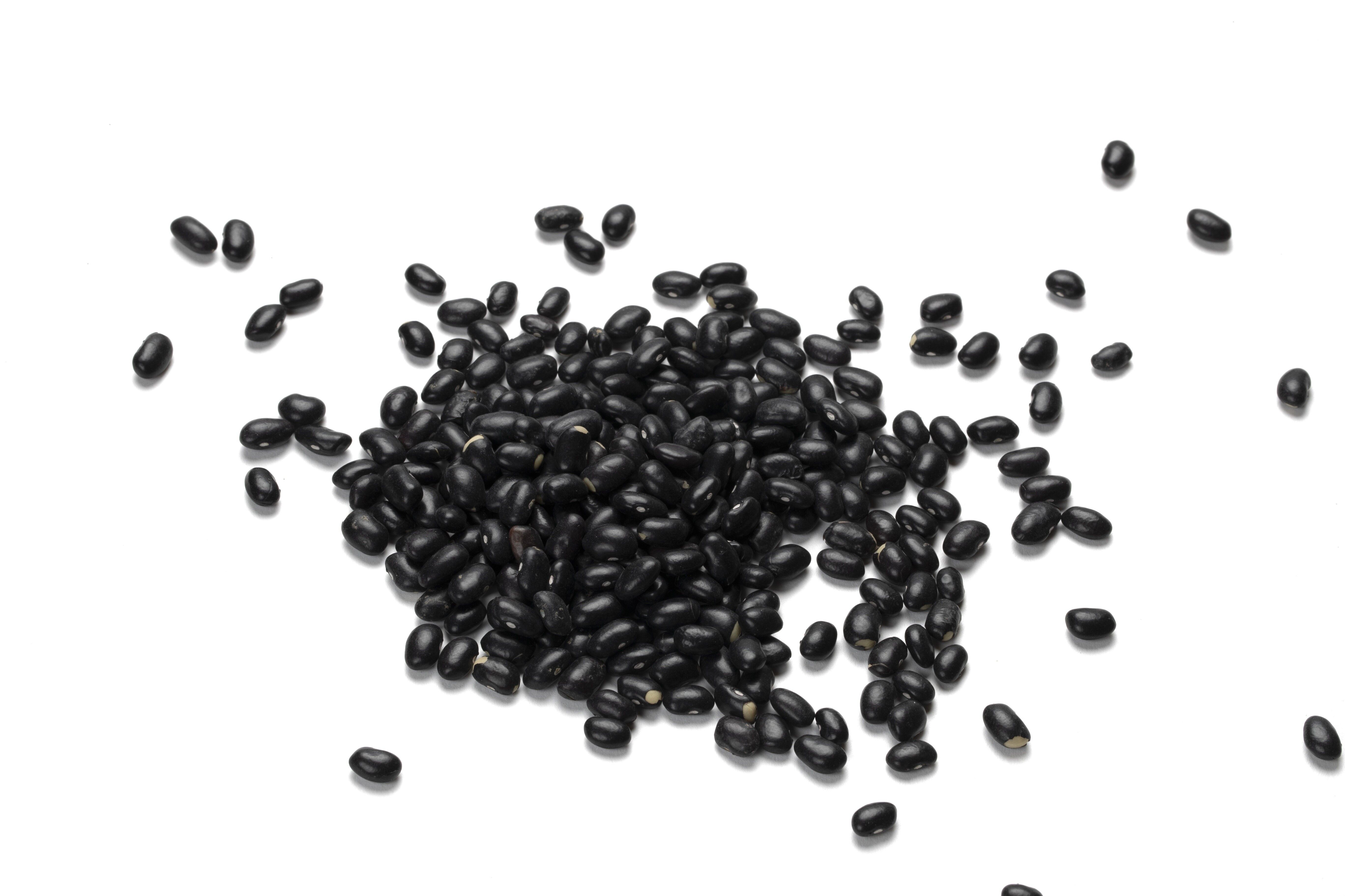 Fagiolo nero biologico francese – 5 kg