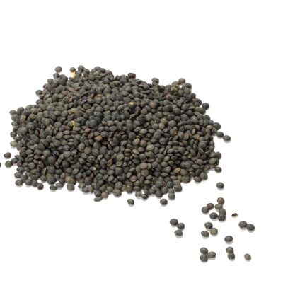 French organic green lentil – 5kg