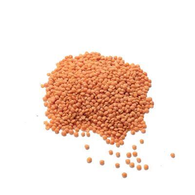 French organic coral lentil – 5kg