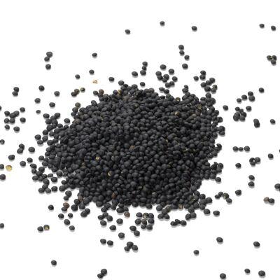 Lenteja negra beluga ecológica Francia – 5kg