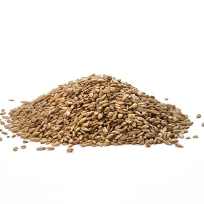 Farro di farro sgusciato biologico francese - 5kg