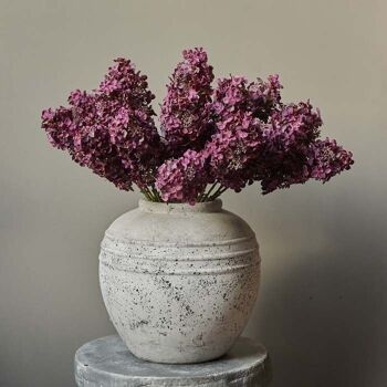 Hortensia paniculata - Fleur artificielle - Abigail Ahern 2
