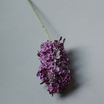 Hortensia paniculata - Fleur artificielle - Abigail Ahern 4