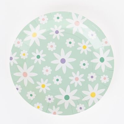 8 Paper plates: daisies