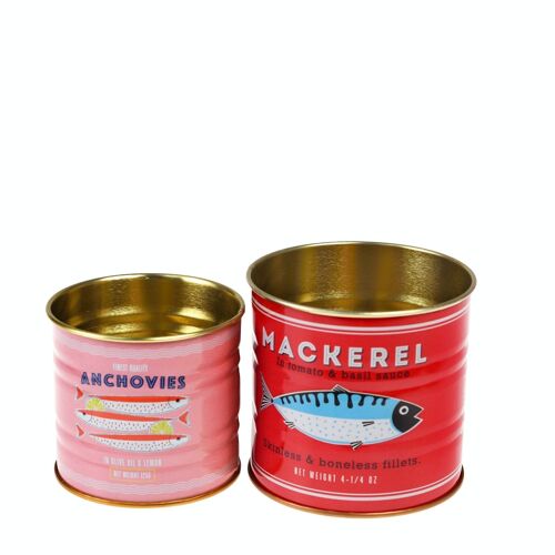 Mini storage tins (set of 2) - Fish